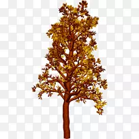 ����-������