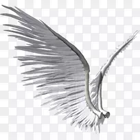 �����Ӱ������-������