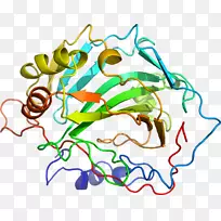 线点剪贴画-线-空若网 线点剪贴画-线-空若网