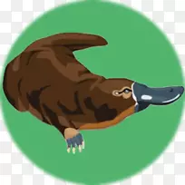 鸭嘴兽,海狸,水獭,海狸-空若网 鸭嘴兽,海狸,水獭,海狸-空若网