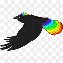 猫毛喙猫-空若网 猫毛喙猫-空若网