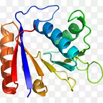 人体珠宝剪贴画.设计-空若网 人体珠宝剪贴画.设计-空若网