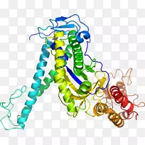 艺术身体珠宝有机体线剪贴画线-空若网 艺术身体珠宝有机体线剪贴画线-空若网
