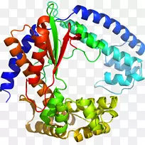 �����鱦�л��������.�鱦-������