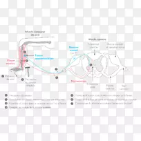 线角设计-空若网 线角设计-空若网