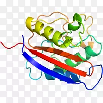 蔬菜有机体系列剪贴画-蔬菜-空若网 蔬菜有机体系列剪贴画-蔬菜-空若网