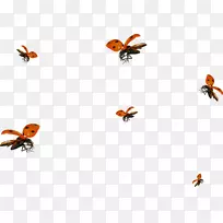 ���������-������