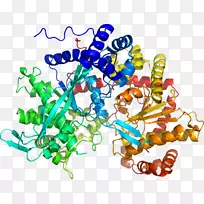 艺术身体珠宝有机体线剪贴画线-空若网 艺术身体珠宝有机体线剪贴画线-空若网