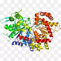 珠子食品身体珠宝剪贴画.珠宝-空若网 珠子食品身体珠宝剪贴画.珠宝-空若网