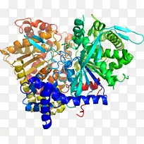 艺术身体珠宝有机体线剪贴画线-空若网 艺术身体珠宝有机体线剪贴画线-空若网