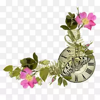 �������Ĳ��ͻ�����Ƽ�����-����-������