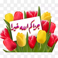 �����㻨������-������-������