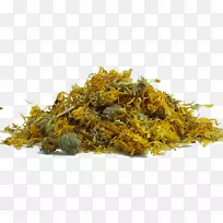 ���ݱ�����������-������