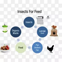 ������ֳҵ��ӪʳƷ����-������