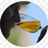 ̫������Ŀ���;�.̫����-������