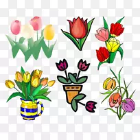 郁金香花卉设计切花植物茎郁金香-空若网 郁金香花卉设计切花植物茎郁金香-空若网