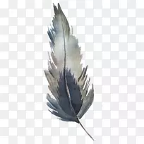 水彩羽毛-空若网 水彩羽毛-空若网