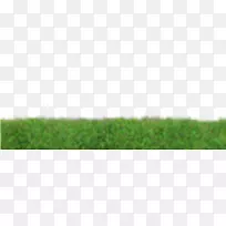 ²ÝƺÉãÓ°.²Ý-¿ÕÈôÍø ²ÝƺÉãÓ°.²Ý-¿ÕÈôÍø