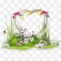 花卉设计花束桌面壁纸野花-空若网 花卉设计花束桌面壁纸野花-空若网