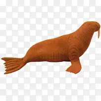 海狮陆生动物-海象-空若网 海狮陆生动物-海象-空若网