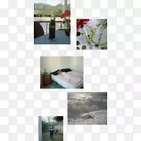 采光设计-空若网 采光设计-空若网