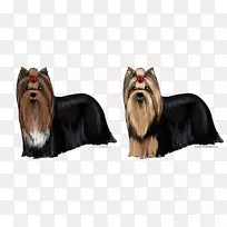 Լ�˿���Ȯ�Ĵ�����˿ë��Ȯ��ȮƷ��Լ�˿���Ȯ-������