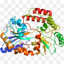 Êß²ËÓлúÌå¼ôÌù»-Êß²Ë-¿ÕÈôÍø Êß²ËÓлúÌå¼ôÌù»-Êß²Ë-¿ÕÈôÍø