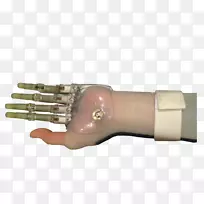 手指-空若网 手指-空若网