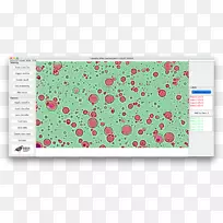 截图矩形字体-空若网 截图矩形字体-空若网