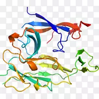 �ߵ������������-������