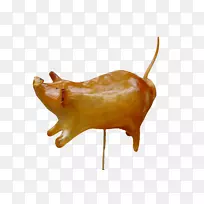 动物源性食物鼻子-海猪糖-空若网 动物源性食物鼻子-海猪糖-空若网