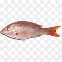 生鱼片鱼肉-空若网 生鱼片鱼肉-空若网