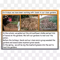 ÍÁÈÀÉú̬¶¯Îï²Ý±¾Ö²Îï-¿ÕÈôÍø ÍÁÈÀÉú̬¶¯Îï²Ý±¾Ö²Îï-¿ÕÈôÍø