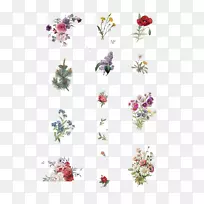 花卉设计切花花瓣花-空若网 花卉设计切花花瓣花-空若网