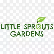 �������������������-����-������