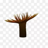 花盆-空若网 花盆-空若网