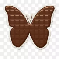 蝴蝶昆虫猫头鹰蝴蝶-空若网 蝴蝶昆虫猫头鹰蝴蝶-空若网