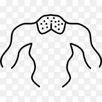 颈部人体鼻子人体解剖-鼻子-空若网 颈部人体鼻子人体解剖-鼻子-空若网