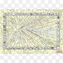 线角草科-空若网 线角草科-空若网