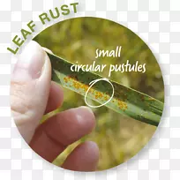 另类医疗服务医学手指学习-叶圈-空若网 另类医疗服务医学手指学习-叶圈-空若网