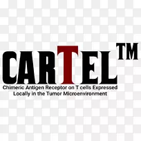 嵌合抗原受体在肿瘤治疗中的新进展-空若网 嵌合抗原受体在肿瘤治疗中的新进展-空若网