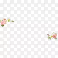 花卉设计切花植物茎身珠宝金黑名片-空若网 花卉设计切花植物茎身珠宝金黑名片-空若网