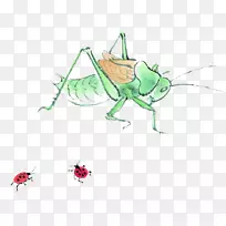 À¥³æ¿¨Í¨´ïĦͼ±ê-òÆòì-¿ÕÈôÍø À¥³æ¿¨Í¨´ïĦͼ±ê-òÆòì-¿ÕÈôÍø