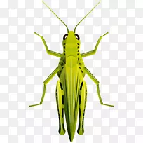 �׳������.��ͨ��������-������