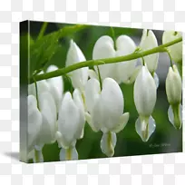 地砖杯垫.出血的心脏-空若网 地砖杯垫.出血的心脏-空若网