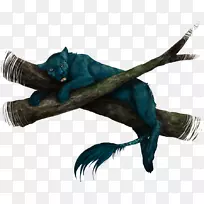 蒂尔羽毛-你好-空若网 蒂尔羽毛-你好-空若网