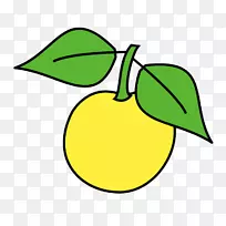 ����ֲ��Ҷֲ�ﾥ�Ѽ�����-������