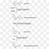 芳香族l-氨基酸脱羧酶脱羧5-羟色胺多巴胺左旋多巴-空若网 芳香族l-氨基酸脱羧酶脱羧5-羟色胺多巴胺左旋多巴-空若网