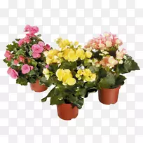 �����ӽ��������-������