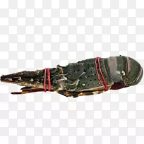 �Ĵ����ǲ�ʿ�������Ϻ-�Ĵ�������ɫ��Ϻ-������